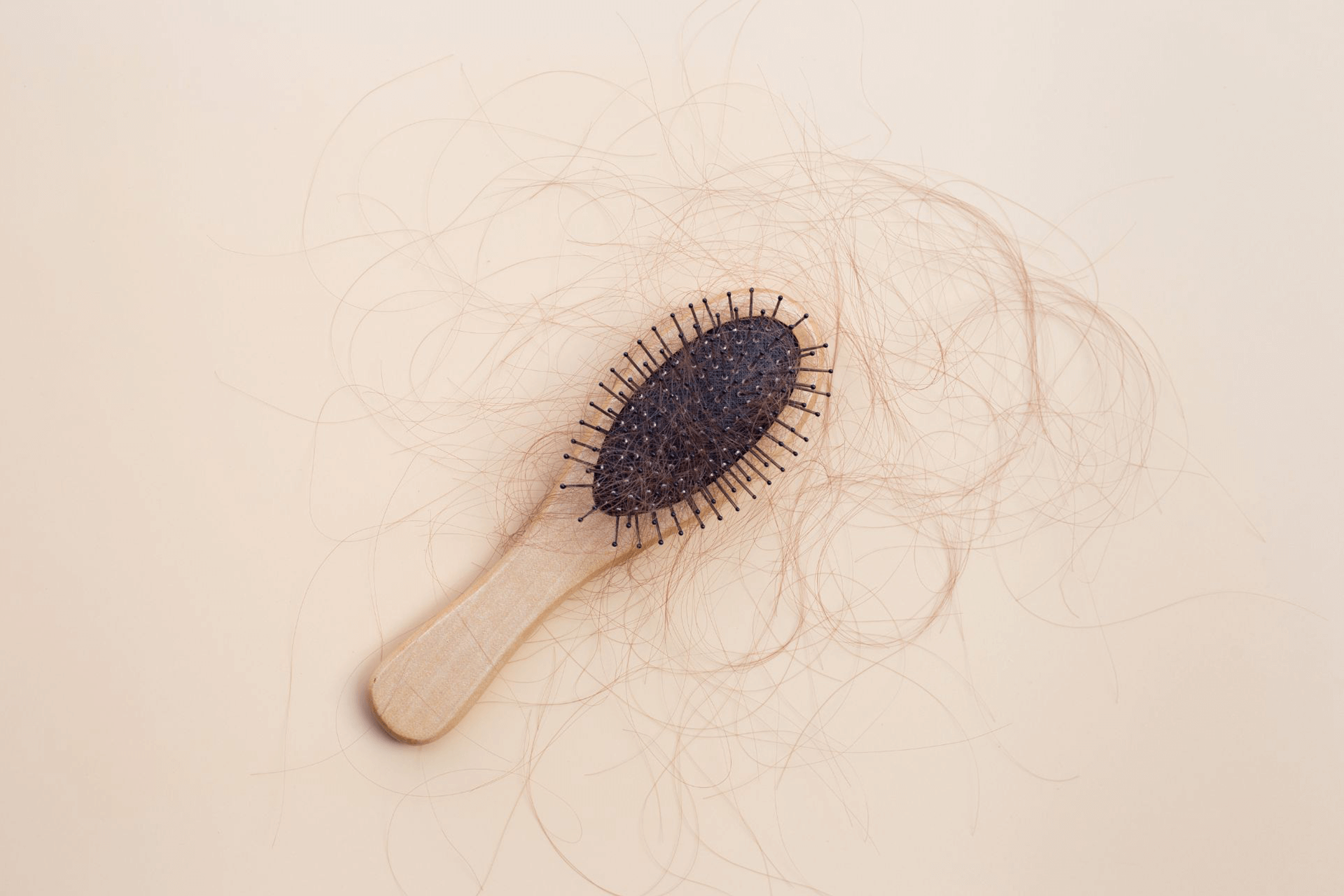  A hairbrush with large clumps of hair stuck to the bristles 